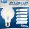 Decorative Light Bulb (3-Pack) 5.5 Watt G25 LED Filament Bulb