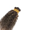 QEUOPE Ombre Brown Kinkycurly Bundles Human Hair P4613 Highlight Honey