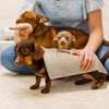 Breling 3 Pcs Dachshund Hand Towels for Bathroom, 13.3 x