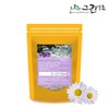 Green Herbal 국산 구절초 분말 가루 300g Domestic Chrysanthemum Powder