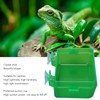 Zerodis Green Suction Cup Reptile Feeder, Gecko Lizard Escape Proof