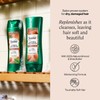 Suave Shampoo and Conditioner Set, Almond & Shea Butter -