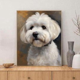 QACEYID Oil Painting Kit for Beginner Digital Painting Bichon Frise Dog Paint by Numbers for Adults Beginner Arts Craft for Decoration, 40x50cm