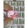 1Pcs High Quality Epoxy DIY Translucent Leaves Dry Flowers Paper