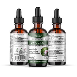 UVA Ursi (Arctostaphylos uva-Ursi) Homeopathic Mother Tincture (HPUS) - Supports Healthy Urinary Functions. Aids in Detoxification - 2fl Oz - Wellness manufactures and Ships from USA.