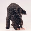 SPOT Bam-Bones Plus Branch -Bamboo Fiber & Nylon, Durable Long
