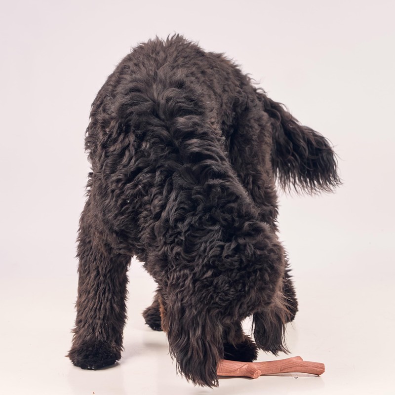 SPOT Bam-Bones Plus Branch -Bamboo Fiber & Nylon, Durable Long