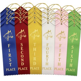 RibbonsNow Horse Show Ribbons 1st - 6th Place - 600 Total Ribbons - 100 Each Place with Card & String