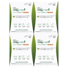 slim in the rain BNR17 Diet Lactobacillus Bie Slim Protein Protein 4 Boxes / BNR17 다이어트 유산균 비에날씬 프로틴 단백질 4박스