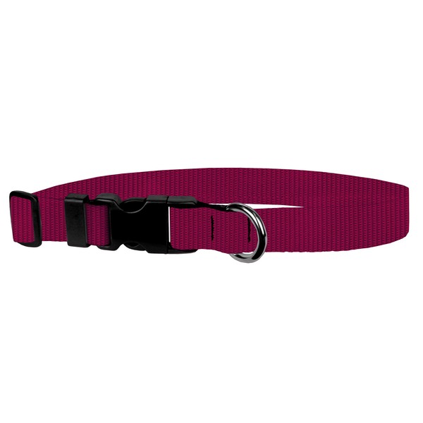 Moose Pet Wear Dog Collar - Colored Adjustable Pet Collars, Made in the USA - 1 Inch Wide, Medium, Raspberry