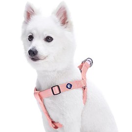 Blueberry Pet Essentials Classic Durable Solid Nylon Step-in Dog Harness, Chest Girth 16.5" - 21.5", Baby Pink, Small, Adjustable Harnesses for Puppy Boy Girl Dogs