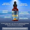 USDA Organic Vitamin D3 K2 Liquid Drops | Vitamin D3