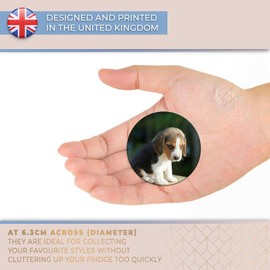 Destination Vinyl ltd Magnet for Refrigerator, Fridge - Cute Beagle Puppy Dog Baby for Office, Cabinet and Whiteboard, Magnetic Stickers, 15527
