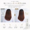 Heart Hair Botanical Hair Milk cocorogami 3.4 fl oz (100