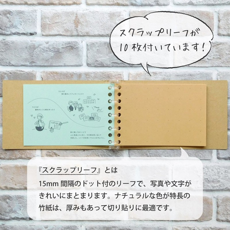 Maruman FM62-21 Loose Leaf Binder, Mini Size, Makeup One's Day,