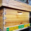 Beehive Sliding Mouse Guard Travel Gate Beehive Door Entrance Gate
