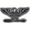 Ivamis Colonel Eagle Insignia Patch- 4x2.1 inch - P5772