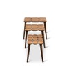 ASHCROFT Page Mid-Century Modern Wood Nesting Tables in Walnut (Set