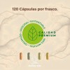 Complejo B Raíces Zen 640mg 120 Cápsulas Sin Sabor Suplemento