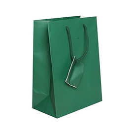 JAM Paper Gift Bags with Rope Handles - Medium - 8 x 10 x 4 - Green Matte - 3/Pack