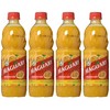 Maguary Passion Fruit Juice Concentrate - 16.9 FL.Oz - Suco