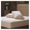 AllerEase Almohadas Jumbo 50x71cm Orgánicas 100% Algodón 2 Pzas