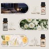 SALUBRITO Hotel Fragrance Oil Set, Luxury Essential Oil Set for