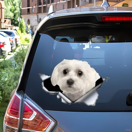 Car Sticker 25 cm (9.8 Inch) Maltese Sticker Funny Maltese Car Sticker Pet Dog Waterproof Sticker 3D Torn Metal Reflective Sticker Decorative