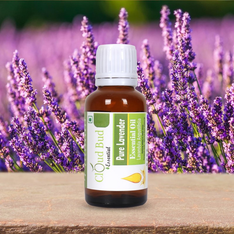 Cloud Bud Cloud Bud Pure Lavender Essential Oil 50ml 1.69oz