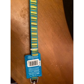 Green Briar Aspen Pet Nylon Dog  Leash  Medium new with tags 5 feet long