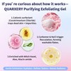 Quarxery Gentle Exfoliating Gel | Sensitive Skin Face & Body