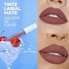 Sace Lady Labial Mate Larga Duracion 24h No Transfier 2.3g