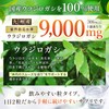ウラジロガシ 9,000mg 国産ウラジロガシ100％使用 キンセンソウ レンセンソウ アカメガシワ クマザサ 64種の植物発酵エキス 国内GMP製造 WADS