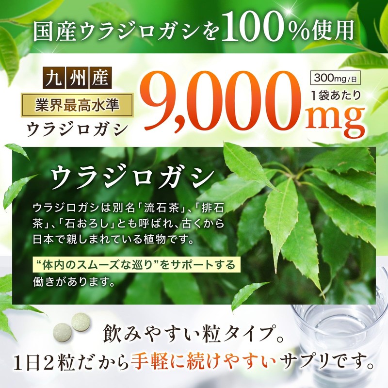 ウラジロガシ 9,000mg 国産ウラジロガシ100％使用 キンセンソウ レンセンソウ アカメガシワ クマザサ 64種の植物発酵エキス 国内GMP製造 WADS