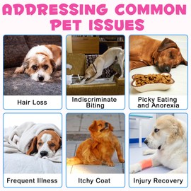 Dog Cholagogue Dog Cholagogue Drops mit Biotin, Msm und Ingwer, Skin and Coat Supplement, Unterstützt die Gesundheit der Gelenke und die Verdauung, stärkt die Immunität