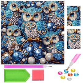 Yiminu.DS 30 x 30 cm Diamond Painting Diamond Painting Pictures Children Small from 10 9 8 7 6 Years, DIY Crafts Girls 6-10 Girls, Gift Girls from 6-12 Years, Owl