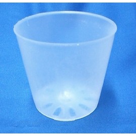 Translucent Plastic Pot, 3.5 inches (9.0 cm), 10 Pieces