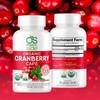 ARÁNDANO (CRANBERRY) ORGÁNICO - USDA - 60 CÁPSULAS