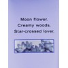Victoria Secret Midnight Bloom Fragrance Lotion