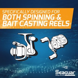 Seaguar Invizx 100% Fluorocarbon Fishing Line (10 Pound)