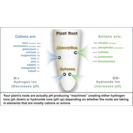 Advanced Nutrients Sensi Bloom Part A+B WSP Professional Series 25lbs Set