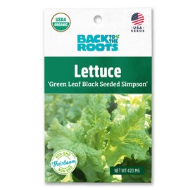 Back to the Roots 100% Organic Seed Packet - Lettuce 'Green Leaf Black Seeded Simpson' 420mg