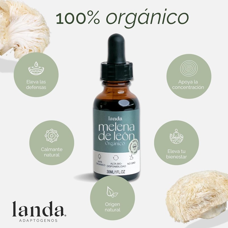 LANDA Extracto Liquido de Hongo Melena de León 30 ml