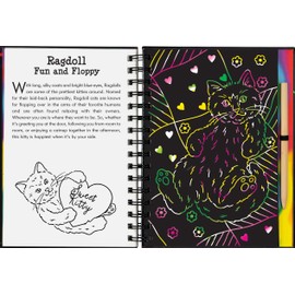 Scratch & Sketch Kittens (Trace Along)