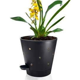 lehorra 1 Pcs Orchid Pots with Holes, 7 Inch Self Watering Plastic Orchid Pots for Repotting, Breathable Slotted Planter Pots for Orchid, Devil's Ivy Healthy Air Circulation & Drainage (Black)