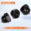 MewuDecor 10-24 Acorn Cap Nuts, 304 Stainless Steel 18-8, Black