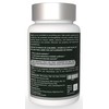 Bromelain 500mg | 2400 GDU/gram | Joint Support & Healthy