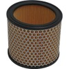 LUFTFILTER APRILIA RSV 1000-SL FALCO