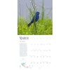 Bird Wall Calendar 2025 | 12” x 24” Birds: Feathered