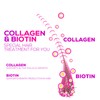 Collagen Gummies with 2500mcg Biotin, Vitamin C & Zinc -